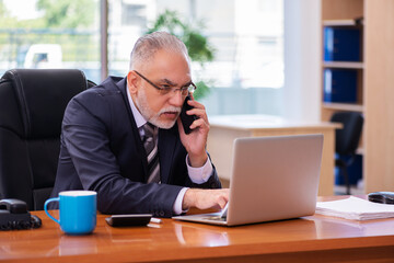 Naklejka premium Old businessman employee working in the office
