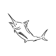 Fototapeta premium Marlin, swordfish zentangle stylized, vector, illustration, freehand pencil, hand drawn, pattern.
