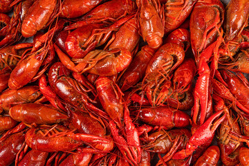 close up of boiled red crawfish or crayfish