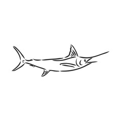 Marlin, swordfish zentangle stylized, vector, illustration, freehand pencil, hand drawn, pattern.