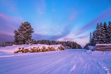 Rural winter landscape