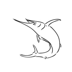 Marlin, swordfish zentangle stylized, vector, illustration, freehand pencil, hand drawn, pattern.