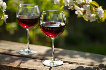 Wine Tasting Party in spring in the garden