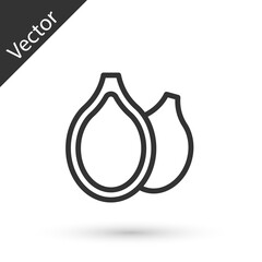 Grey line Pumpkin seeds icon isolated on white background. Vector