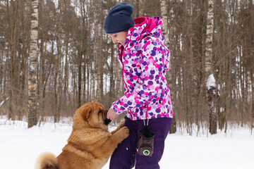 A Woman in winter in the park with a beautiful fluffy dog Chow chow