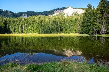 Fototapeta na wymiar The Grassy Smolyan lake at Rhodope Mountains, Bulgaria