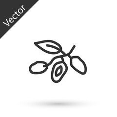 Grey line Date fruit icon isolated on white background. Vector