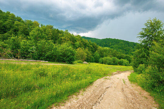 dirt road through forested countryside. beautiful summer rural landscape in mountains. adventure in nature scenery before the storm