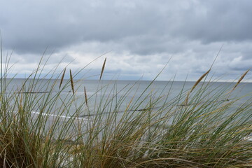 Fototapeta premium Ostseeküste