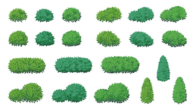低木のイラスト素材セット_木の葉の茂み