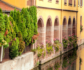 Houses in the street