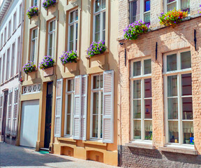 Houses in the town