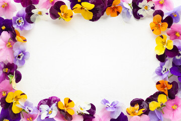 Fototapeta na wymiar Spring or summer flower composition with edible pansy and violets on white background. Flowers frame, copy space.