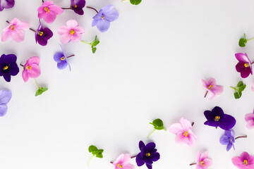 Naklejka na ściany i meble Spring or summer flower composition with edible violets on white background. Flat lay, copy space. Healthy life and flowers concept.