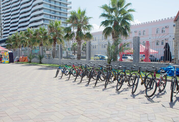Rows of shared bicycle beside road in Batumi. New boulevard bicycles and tricycles rent station