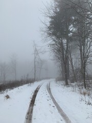 Obraz premium Winter-Wald