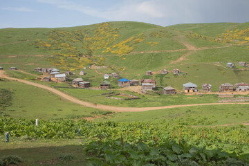 Mountain landscape in Georgia. Rural Georgian landscape