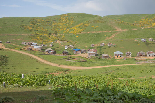 Mountain landscape in Georgia. Rural Georgian landscape