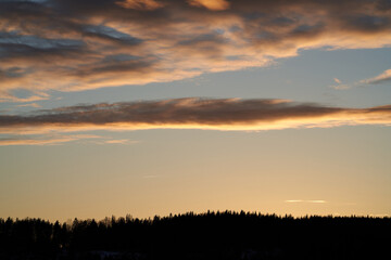 Fototapeta premium A beautiful evening in the winter forest. The snow is melting and it is spring. Shot at Bogstad, Oslo, Norway. 