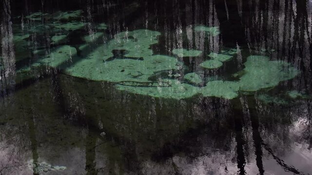 REZERWAT PRZYRODY &bdquo;NIEBIESKIE ŹR&Oacute;DŁA&rdquo;. TOMASZ&Oacute;W MAZOWIECKI, POLSKA. 