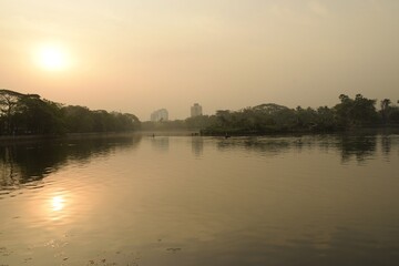 Fototapeta premium foggy morning at sabindra sarobar lake, kolkata, west bengal, india