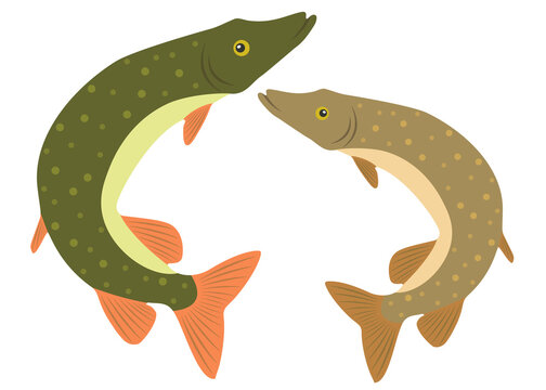 Set of cute pike jumping. Vector image.