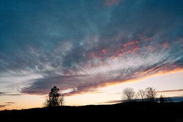 A beautiful evening in the winter forest. The snow is melting and it is spring.  Shot at Bogstad, Oslo, Norway. 