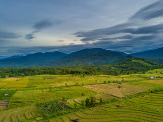 Fototapeta na wymiar Morning air views on Indonesian rice terraces. morning view of mountain in indonesia