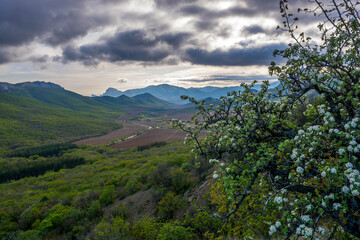 Fototapeta premium Mountain spring landscape