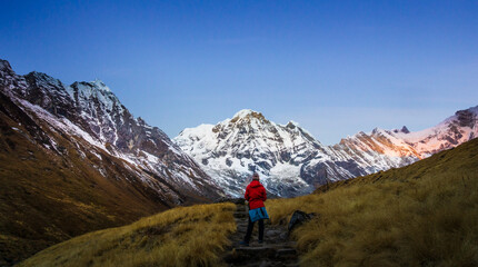 Fototapeta na wymiar Young woman staring at Annapurnas during ABC trekking in Nepal