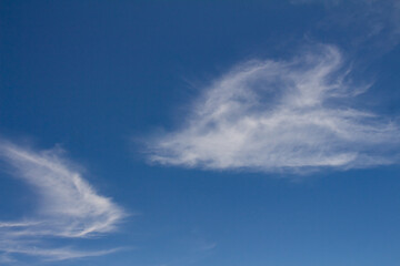 Fototapeta na wymiar Beautiful white cotton-like clouds. White cloud cumulus. Water in the form of steam in the sky
