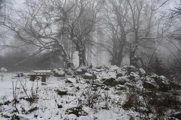 Winterlandschaft