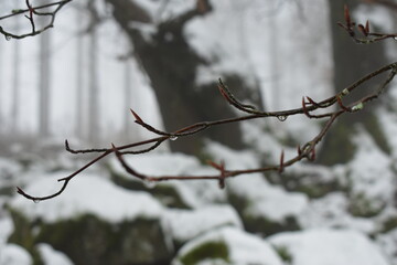 Winterlandschaft
