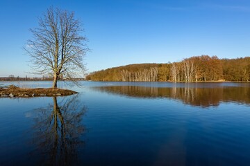 Scenic view of a lake with calm water and a reflection of a tree growing on a little island and woodland in the background on the horizon. Bright sunny spring day with blue sky.  