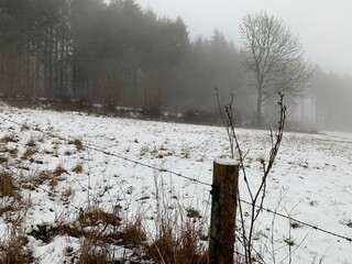 Winterlandschaft