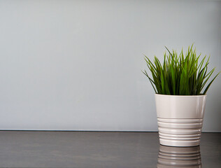 White background / wall with plant
