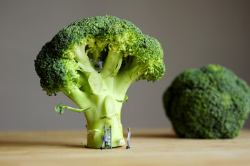 Miniature figurine character: Focus on one people claiming on broccoli. There are two people working on wooden ground by using stairs