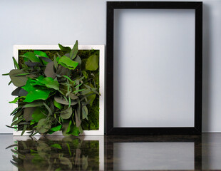 frame on a wall with plants