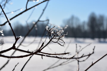 Winterlandschaft