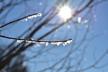 Winterlandschaft