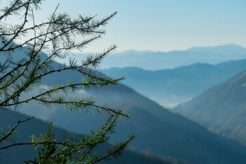The view on the Alpine valley from the way to Hohe Weichsel in Austria. There is a dense forest on the sides. The valley is shrouded with mist. Early morning. Calmness and peace.