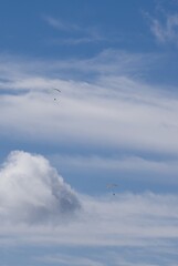 Fly high and feel free. Emotions