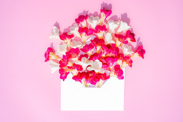 Beautiful flowers in opened postal envelope with copy space for text on a pink paper background. Festive greeting concept. Top view, flat lay. High quality photo