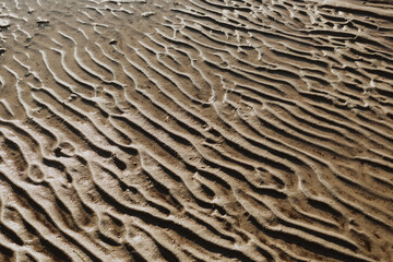 Ripples in sand on the shore