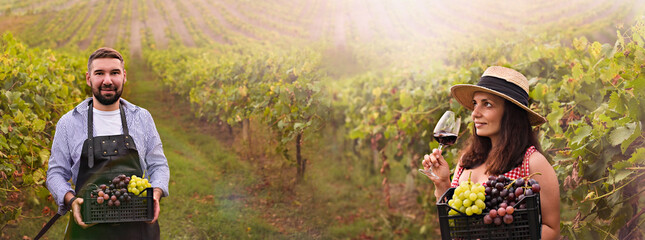 A woman and a man with a glass of red wine in the hills of Italy. Vineyards of Emilia Romagna and...