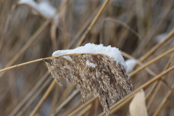 Winterlandschaft