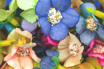 Spring flowers background and close-up