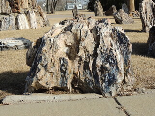 Lemmon South Dakota Petrified Forest Park