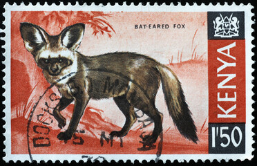 Bat-eared fox on kenyan postage stamp
