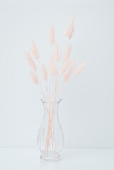 Brown bunny tail grass on grey background, copy space, dried lagurus grass. Bunny tail grass in a vase